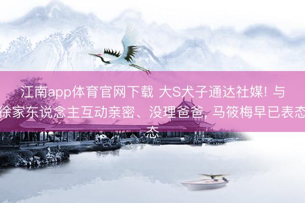 江南app体育官网下载 大S犬子通达社媒! 与徐家东说念主互动亲密、没理爸爸， 马筱梅早已表态