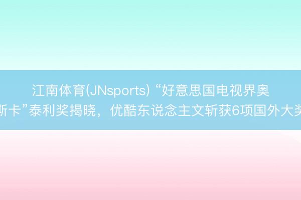 江南体育(JNsports) “好意思国电视界奥斯卡”泰利奖揭晓，优酷东说念主文斩获6项国外大奖
