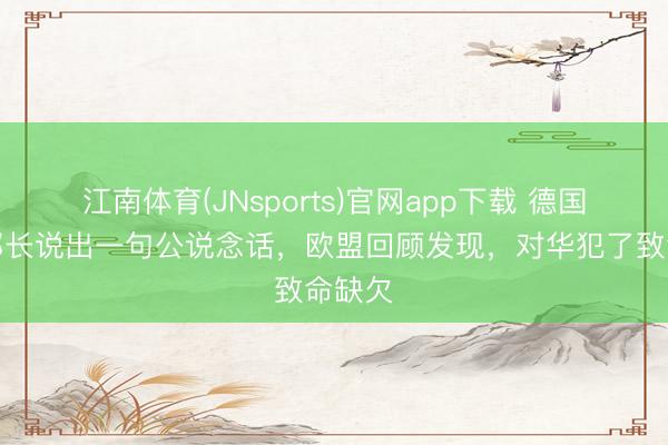江南体育(JNsports)官网app下载 德国经济部长说出一句公说念话，欧盟回顾发现，对华犯了致命缺欠